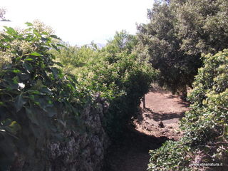 otta san Nicola-13-09-2013 15-11-33